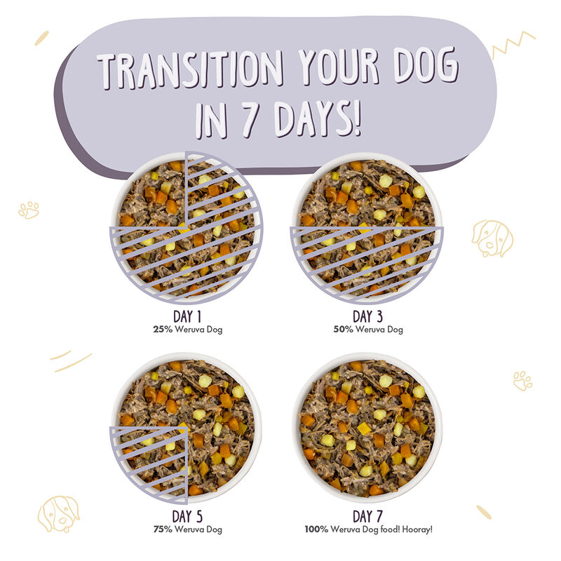Weruva, Can, Adult - Steak Frites - Shreds - Wet Dog Food image number null